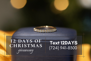 12 Days of Christmas Promotion & Giveaway