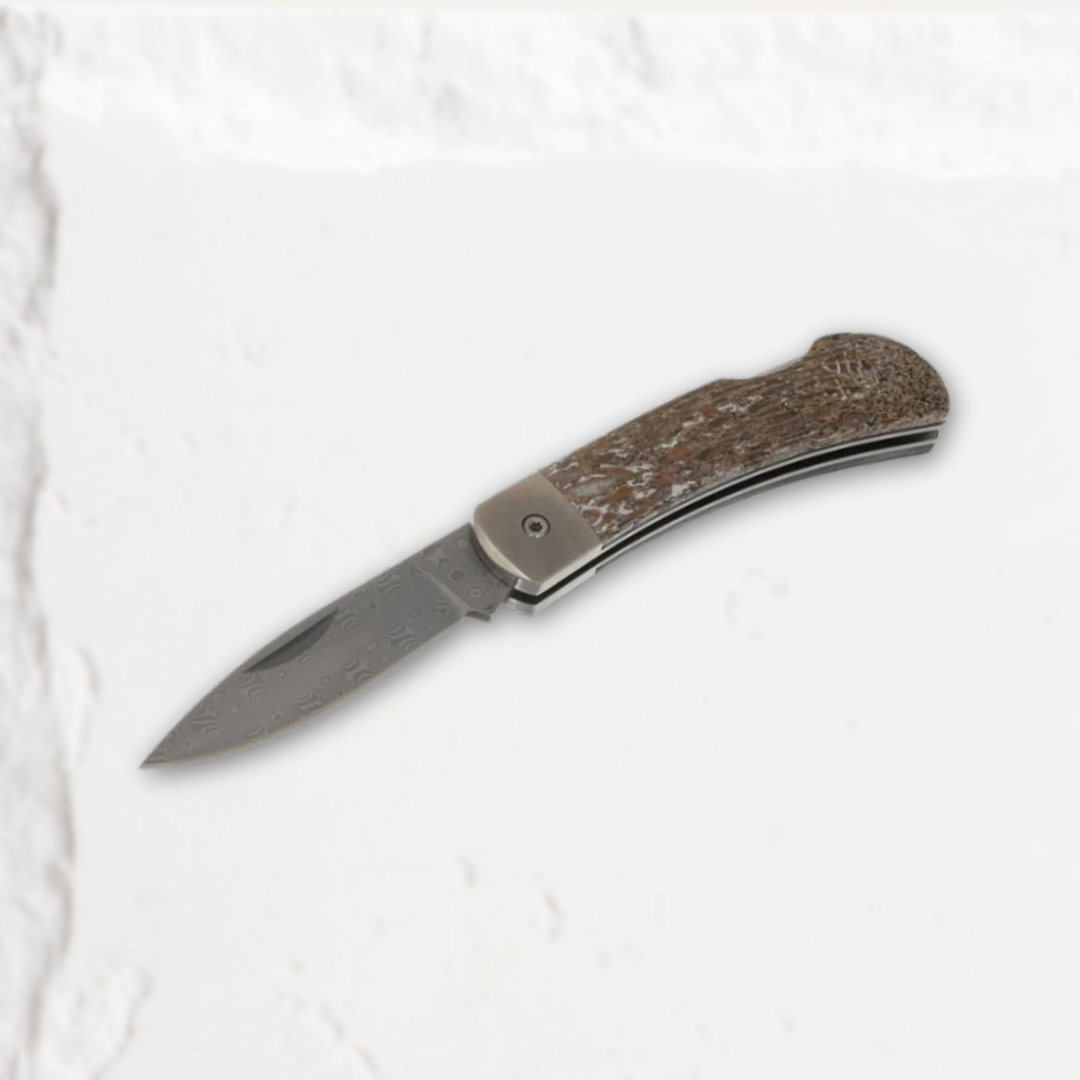 Damascus Dinosaur Bone 3" Lock