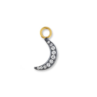 24K Yellow Gold and Oxidized Sterling Silver New Moon Earring Charm