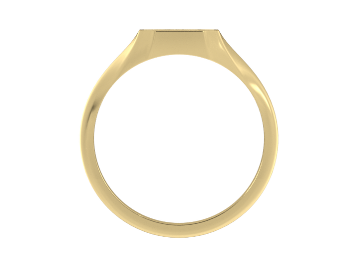Classic men's signet ring, traditional octagonal face, custom serif initial in solid 14k yellow gold. Heavyweight, heirloom quality personalized gift for men.