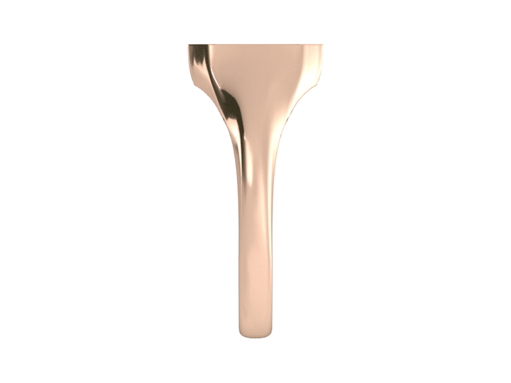 Classic men's signet ring, traditional octagonal face, custom initial in solid 14k rose gold. Heavyweight, heirloom quality personalized gift for men.