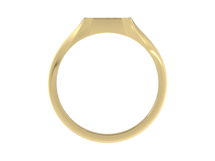 Classic men's signet ring, traditional octagonal face, custom initial in solid 14k gold or sterling silver. Heavyweight, heirloom quality personalized gift for men.