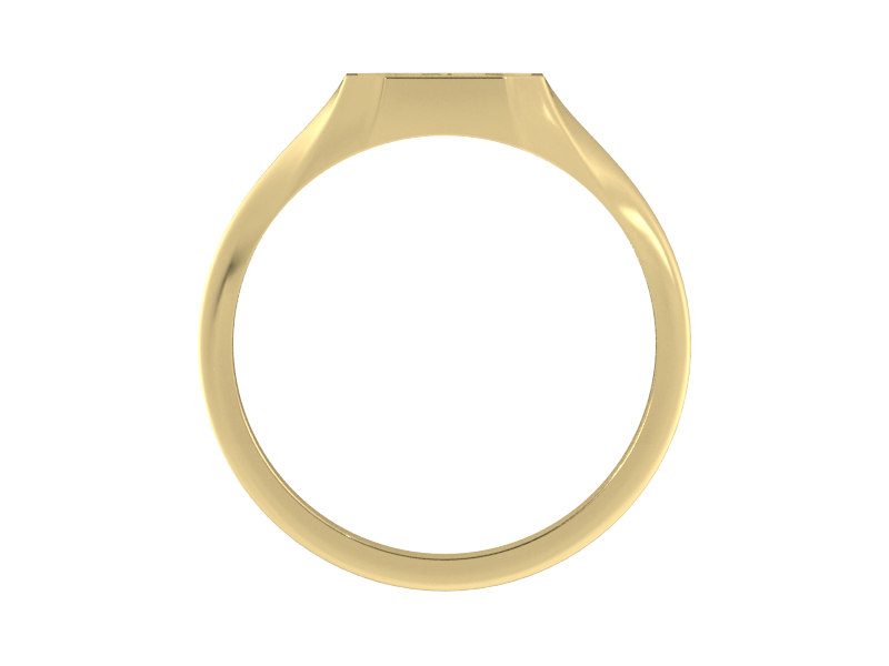 Classic men's signet ring, traditional octagonal face, custom serif initial in solid 14k yellow gold. Heavyweight, heirloom quality personalized gift for men.