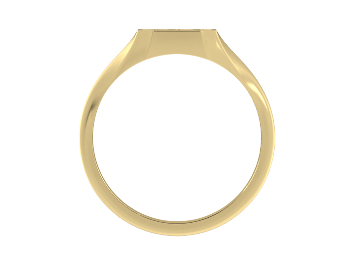 Classic men's signet ring, traditional octagonal face, custom serif initial in solid 14k yellow gold. Heavyweight, heirloom quality personalized gift for men.