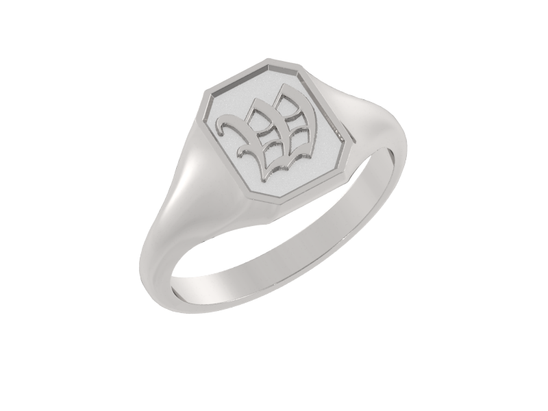 Classic men's signet ring, traditional octagonal face, custom initial in solid 14k gold or sterling silver. Heavyweight, heirloom quality personalized gift for men.