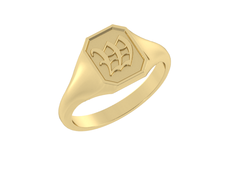 Classic men's signet ring, traditional octagonal face, custom serif initial in solid 14k yellow gold. Heavyweight, heirloom quality personalized gift for men.