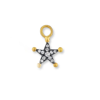 24K Yellow Gold and Oxidized Sterling Silver Star Earring Charm